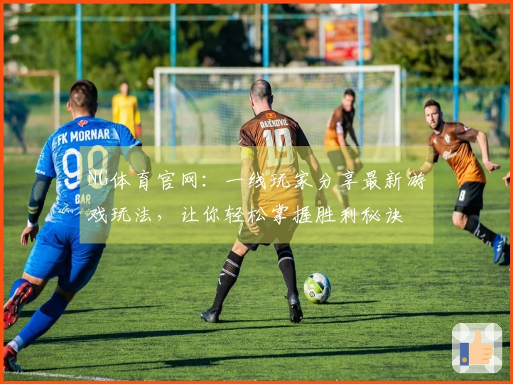 NG体育官网：一线玩家分享最新游戏玩法，让你轻松掌握胜利秘诀