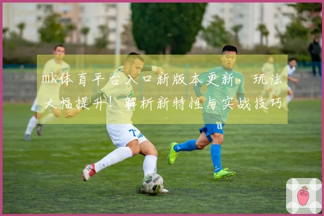 mk体育平台入口新版本更新，玩法大幅提升！解析新特性与实战技巧