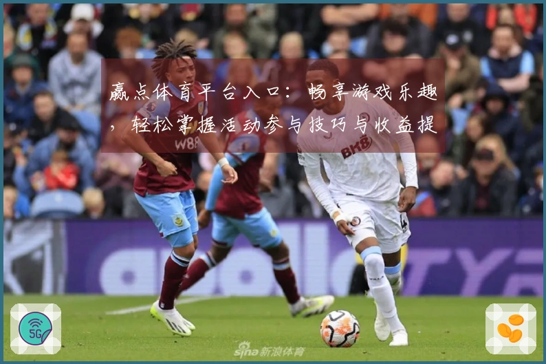 赢点体育平台入口：畅享游戏乐趣，轻松掌握活动参与技巧与收益提升方法