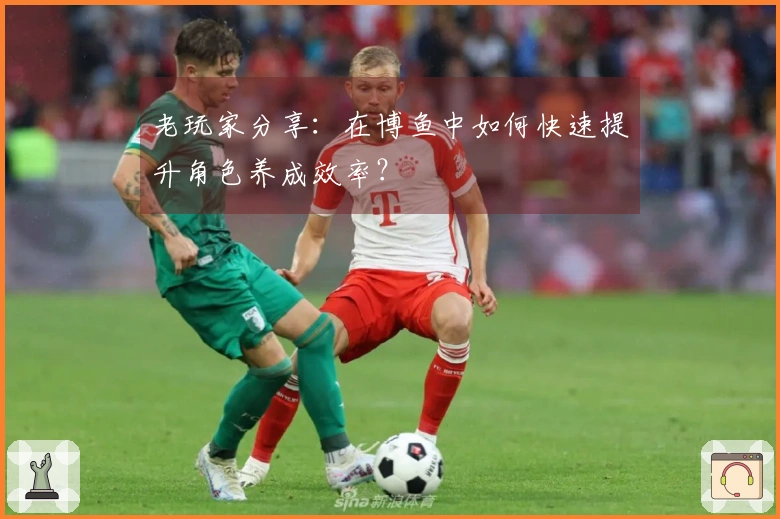 老玩家分享：在博鱼中如何快速提升角色养成效率？
